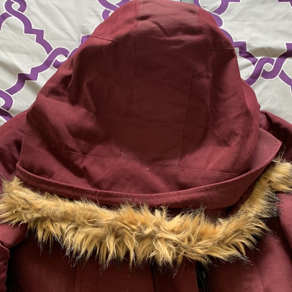 L | Maroon Bluenotes Winter Coat - Picture 3 of 6